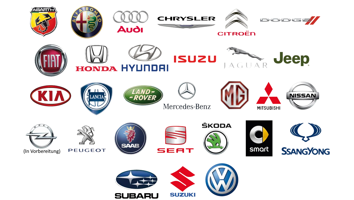 NGZ_3.png.webp